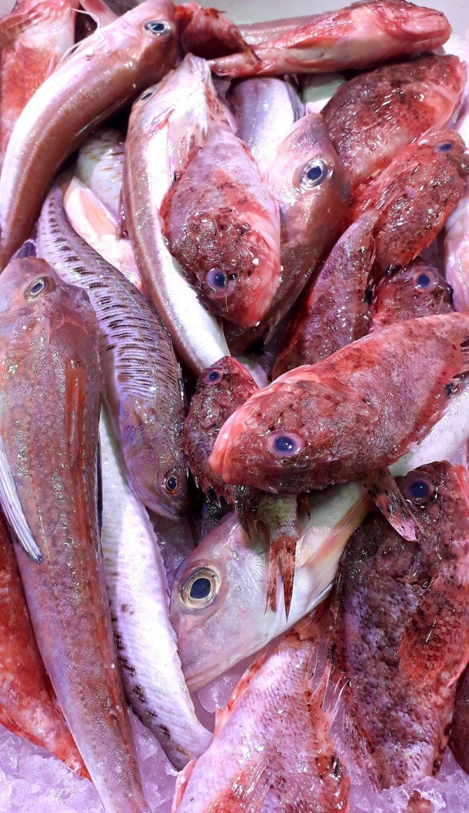 Ça finira en soupe de poissons !