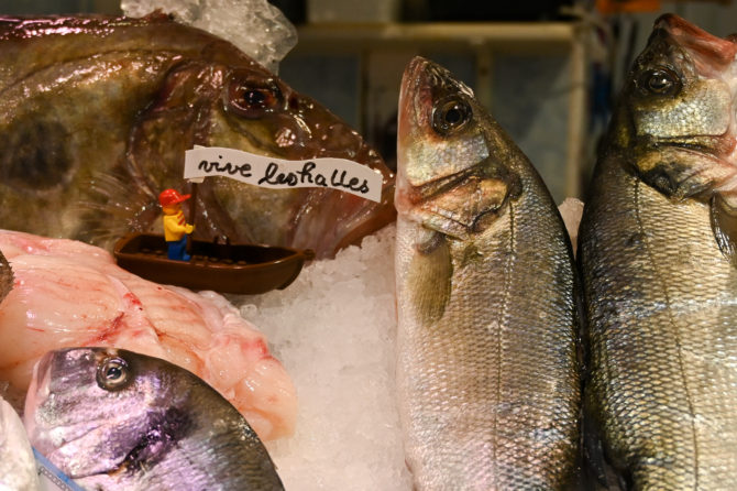 pèche en haute mer